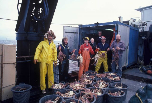Scientists displaying king crab caught in Bering Sea by trawling on research cruise Picture