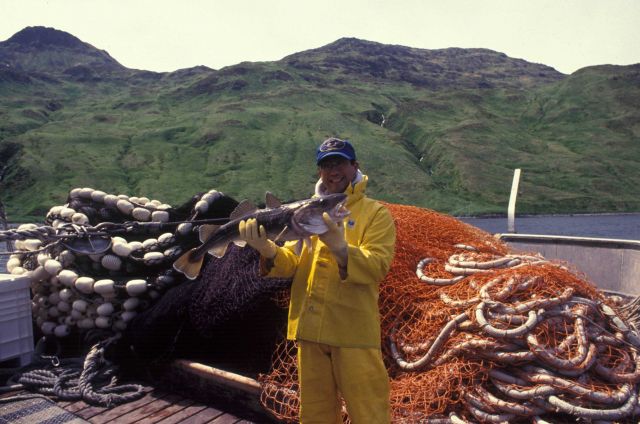 Historic Fisheries Collection Picture