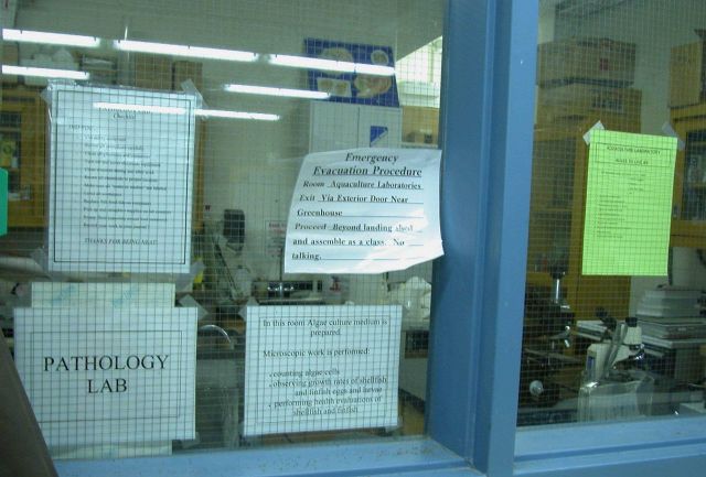 School pathology lab where work is done on algae cultue and studies on finfish and shellfish diseases at Bridgeport Regional Vocational Aquaculture Sc Picture