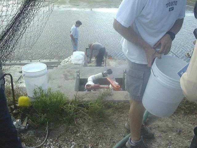 Pond stocking of red drum fingerlings for Florida stock enhancement programs Picture