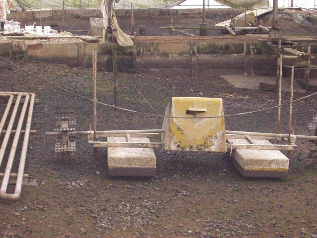 Fallow eel culture pond showing aeration paddle machine on pond floor bottom. Picture