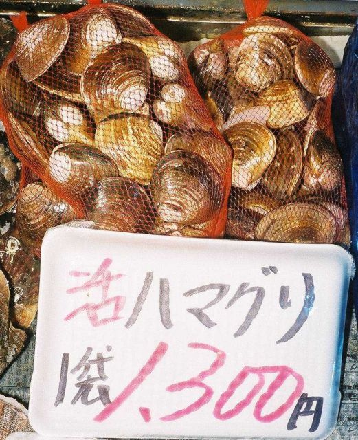 Clams, Mactra chinensis, for sale at the Shiogama market in Japan. Picture