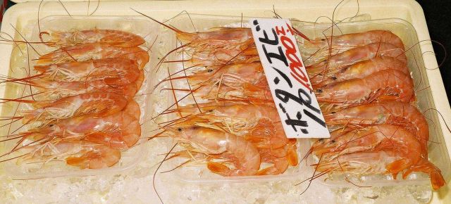 Marine shrimp for sale at the Shiogama seafood market in Japan. Picture