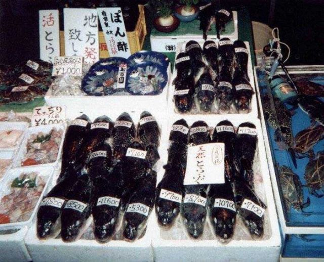 Assorted shellfish, finfish and crabs at a Japanese market. Picture