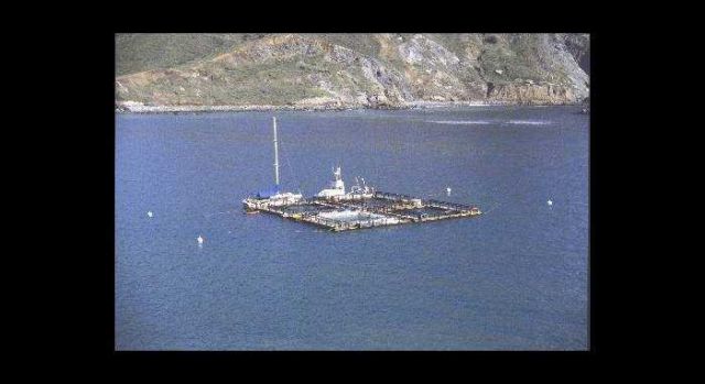 Distant view of netpen culture facility Picture