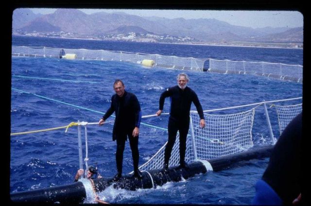 Scientists working on offshore net pen off of Catalina Island, California Picture