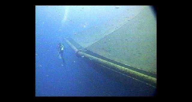 Photo of a diver swimming outside the offshore cage used in Moi culture in Hawaii. Picture