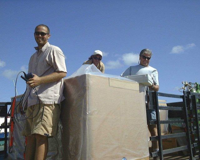 University of Miami Rosentiel School staff preparing cobia, Rachycentron canadum to Puerto Rico offshore cages Picture