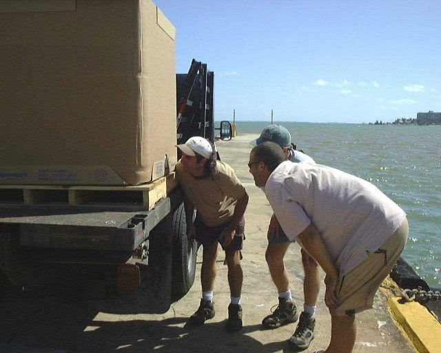 Staff checking the box prior to transport of cobia juveniles (Rachycentron canadum) to offshore cage at Culebra Island, Puerto Rico Picture