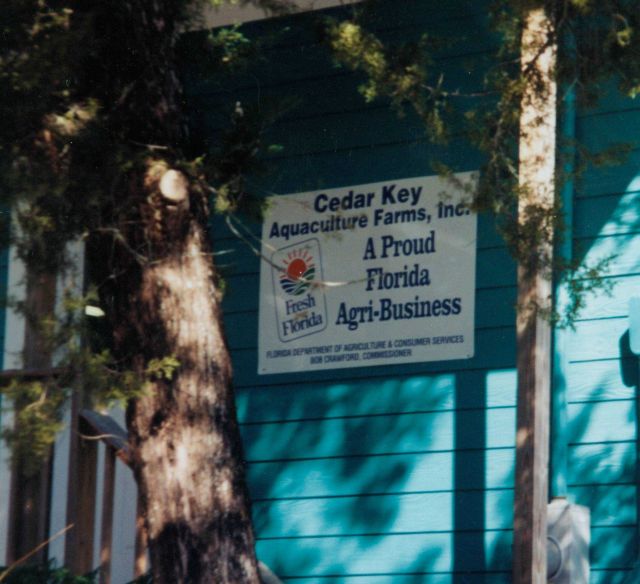 Cedar Key Aquaculture Farms, Inc Picture