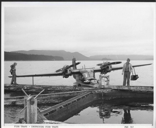 Widgeon NC-722 alongside floating fish trap Picture