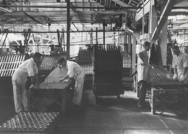 Canning tuna at the Columbia River Packing Association. Picture