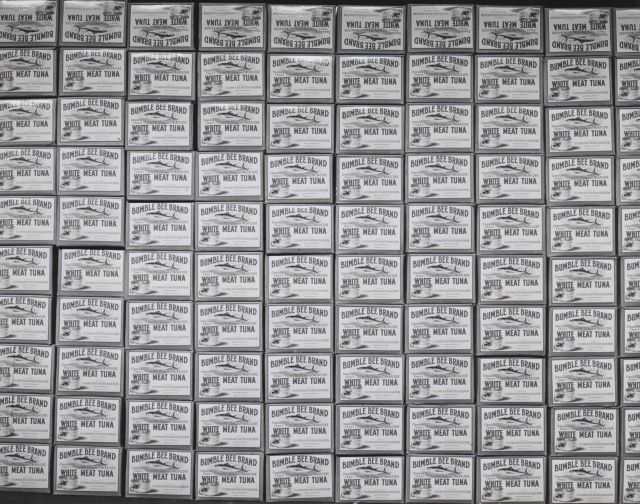 Cases of tuna fish at Astoria, Oregon. Picture