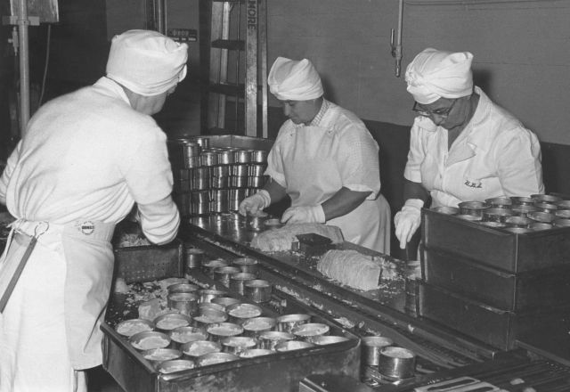 Filling cans with tuna Picture