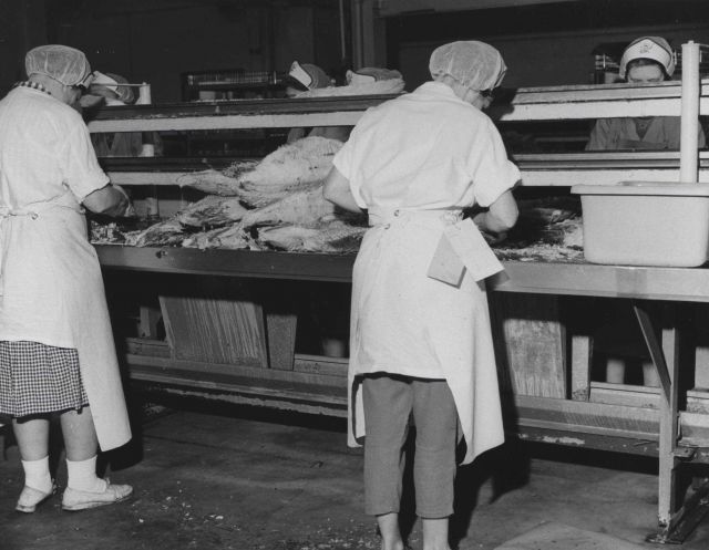 Tuna canning Picture