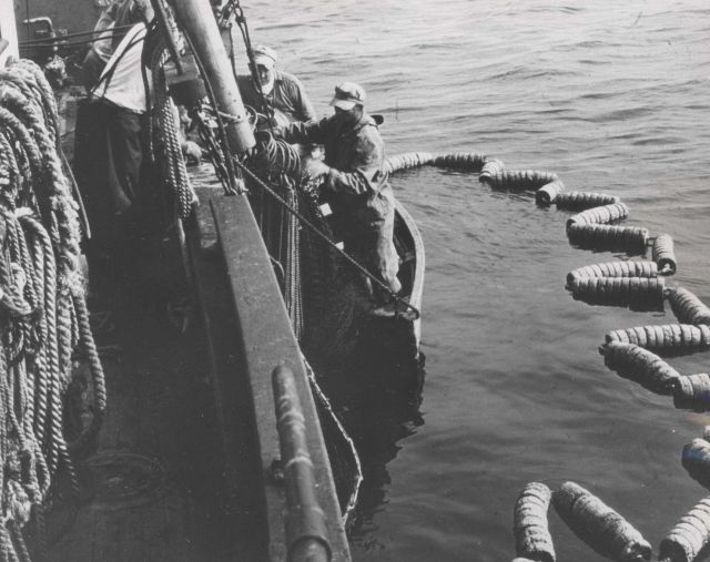 Preparing to hoist purse rings FWS 2231 Picture