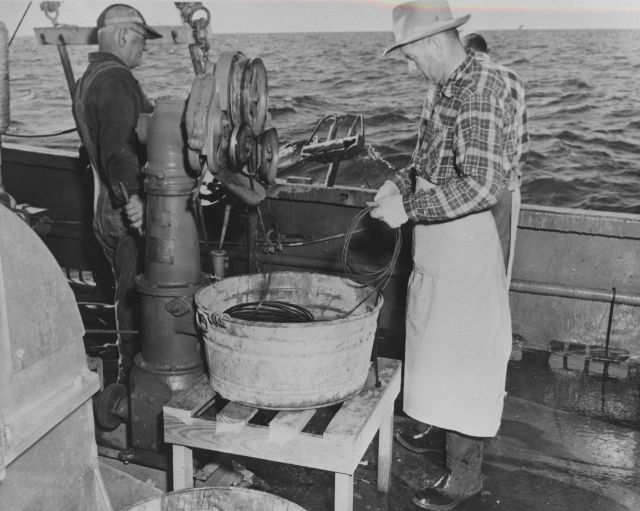 Coiling line on FWS research vessel OREGON - long-lining for tuna Picture