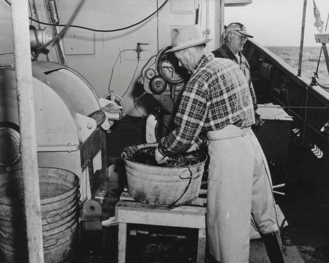 Coiling line on FWS research vessel OREGON - long-lining for tuna Picture