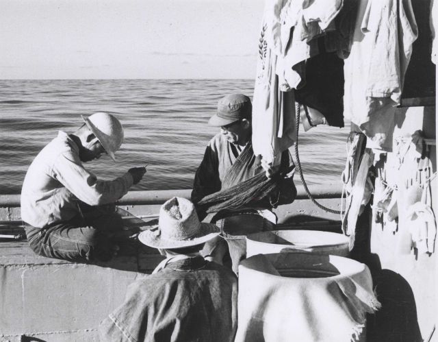 Hawaiian fishermen aboard the Hawaiian sampan BUCCANEER mend bait nets at sea while cruising on the fishing grounds Picture