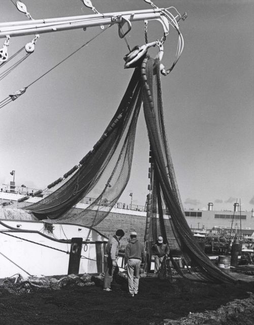 Repairing seine of the purse seiner CONNIE Picture
