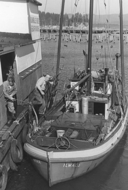 The fishing vessel NORA tied up at the Bumblee Seafoods pier at Ilwaco. Picture