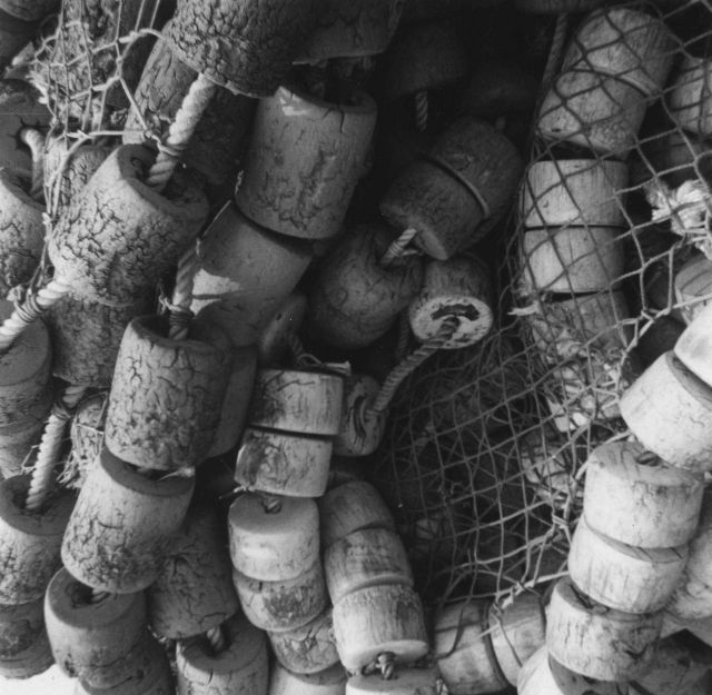 Tuna purse seine Picture