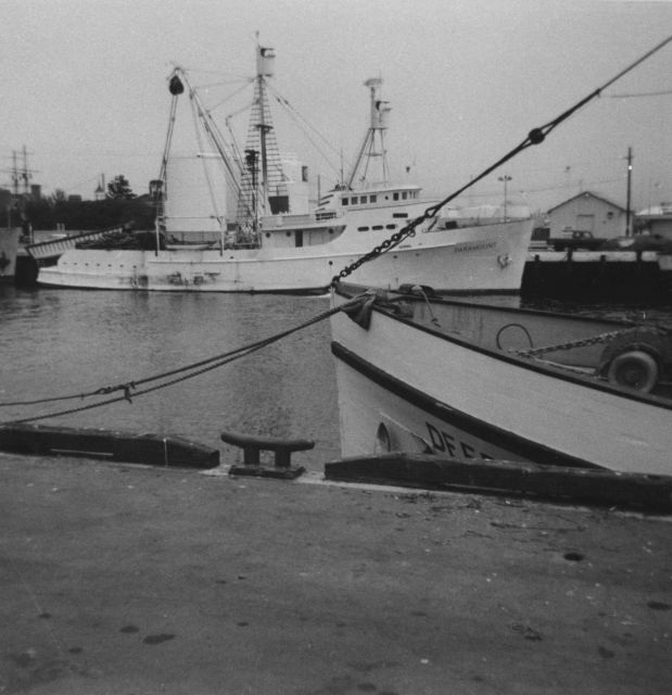 Tuna purse seiner Picture
