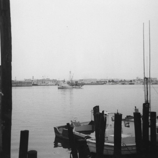 Tuna purse seiner approaching Terminal Island Picture