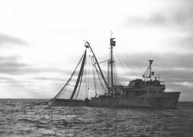 Tuna vessel with prototype purse seine net. Picture