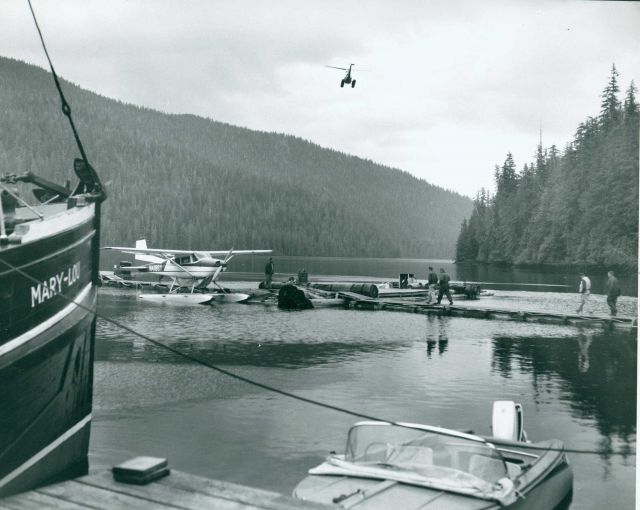 U.S Forest Service, Alaska Department of Fish and Game, and Bureau of Commercial Fisheries personnel assembled at Skowl Arm for aerial spraying experi Picture