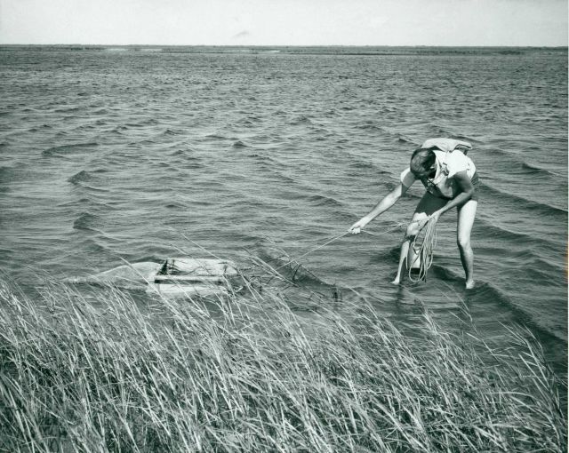 Plankton sampling device developed for use in an estuary's peripheral marshes Picture