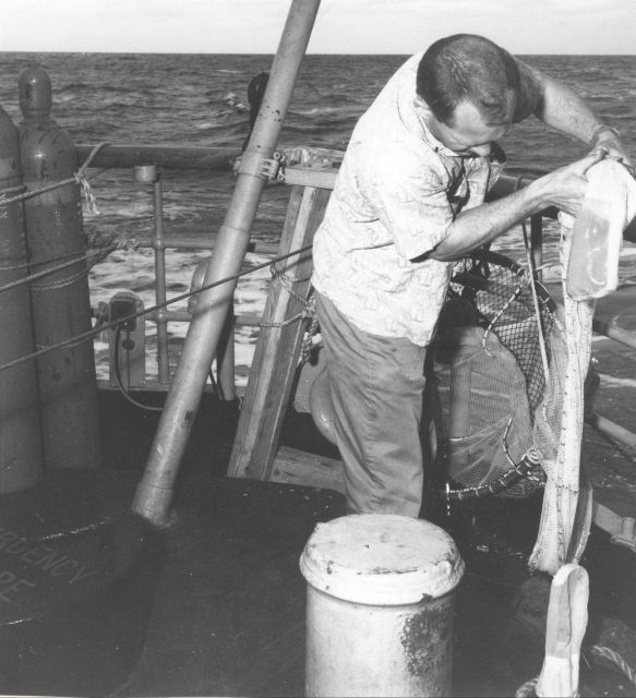 Collecting sample following three-hour tow of High-speed micronekton net used to collect organisms in surface waters Picture