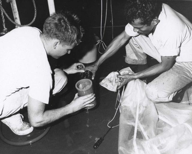 Recovering plankton sample Picture