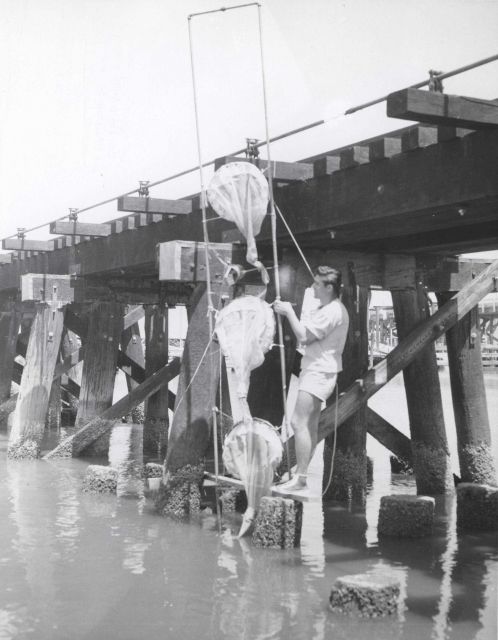 Plankton nets for sampling post-larval shrimp at different levels. Picture
