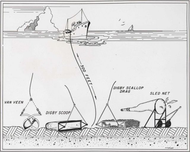 Apparatus used in collecting samples of bottom organisms including Van Veen grab sampler, Digby scoop, Digby scallop drag, and sled net. Picture