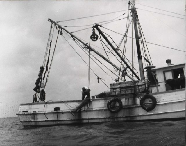 Contract shrimp trawler MISS ANGELA with Gulf V plankton sampler being lifted aboard. Picture