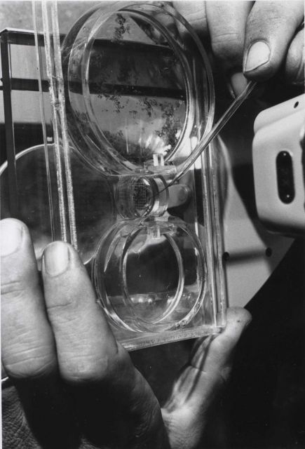 The three-celled counting chamber was designed to fulfill a specific need in the study of variations in the distribution of very small zooplankters Picture