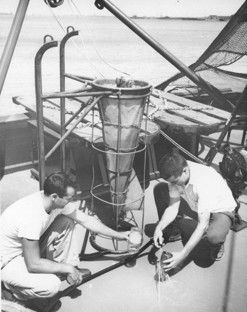Preserving plankton samples collected with G-V plankton net mounted on runners to permit sampling within 4 feet of the ocean bottom. Picture