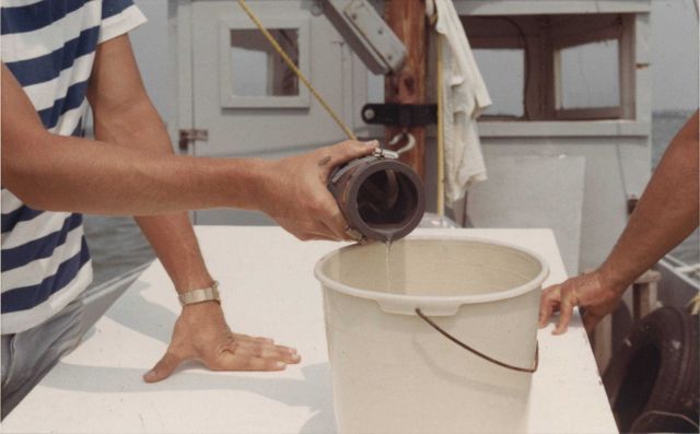 Collecting plankton Picture