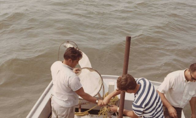 Setting plankton net Picture