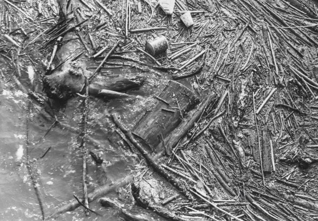 Oil spill and trash intermingled Picture