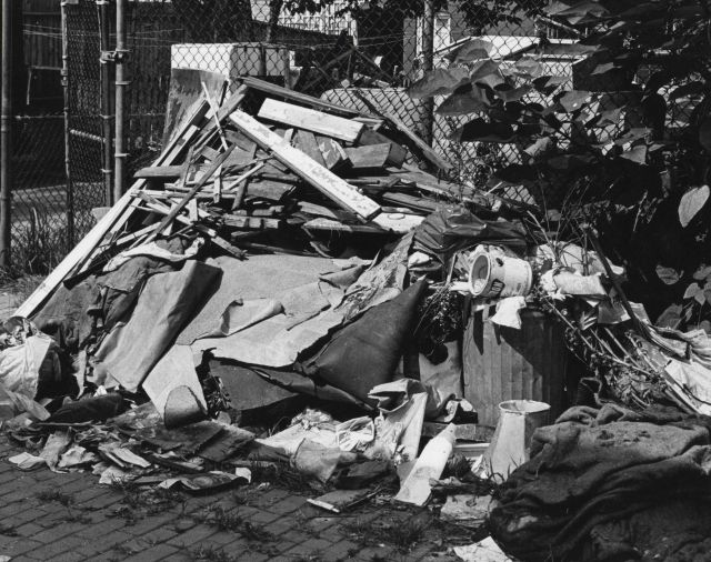 Indiscriminate dumping of trash and its effect on the environment Picture