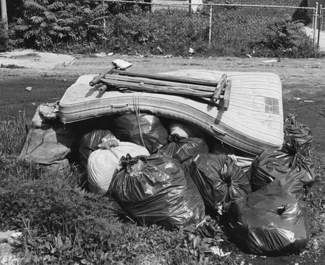 Indiscriminate dumping of trash and its effect on the environment Picture