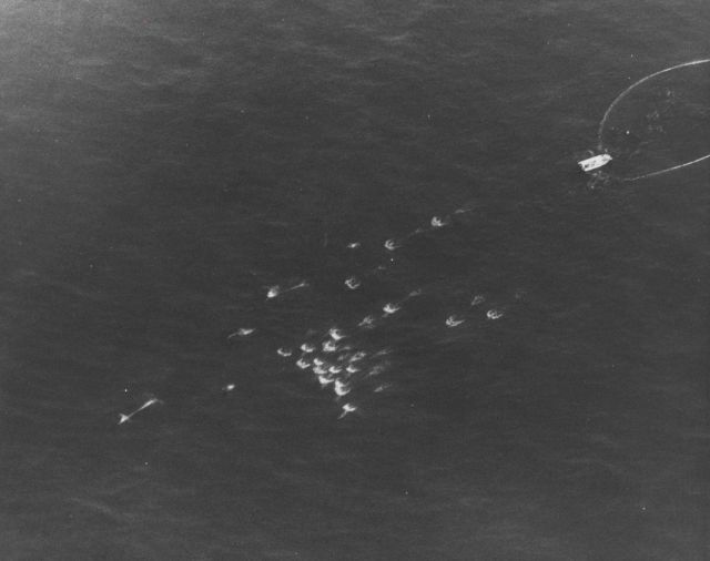 Porpoise escaping tuna nets during the 