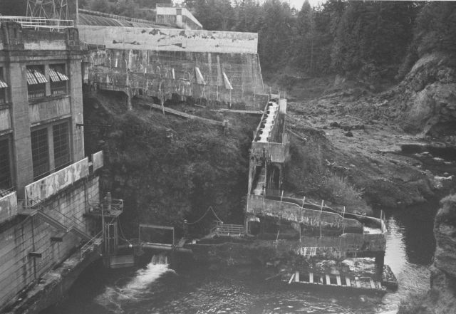 River Mill Dam fish ladder Picture