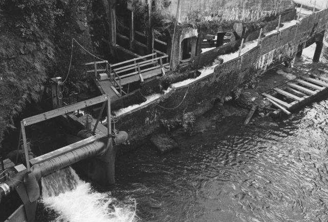 River Mill Dam fish ladder Picture