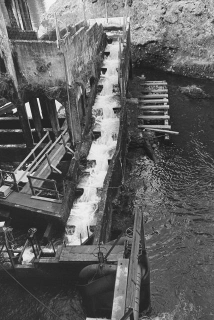 River Mill Dam fish ladder Picture
