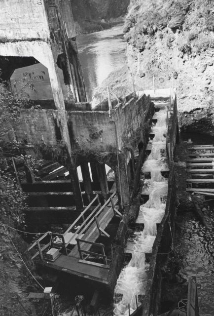 River Mill Dam fish ladder Picture