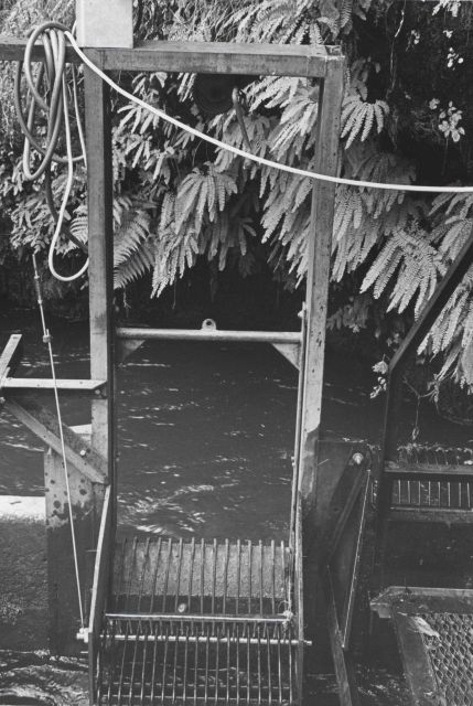 River Mill Dam fish counter Picture