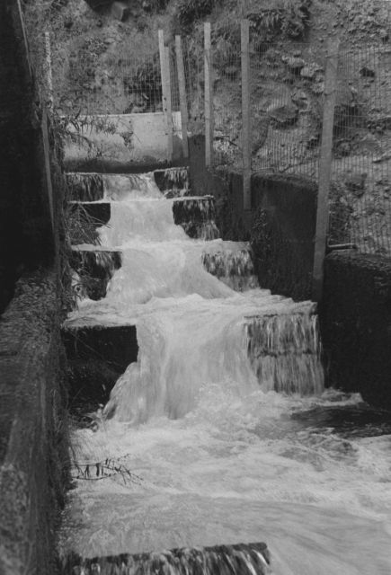River Mill Dam fish ladder Picture